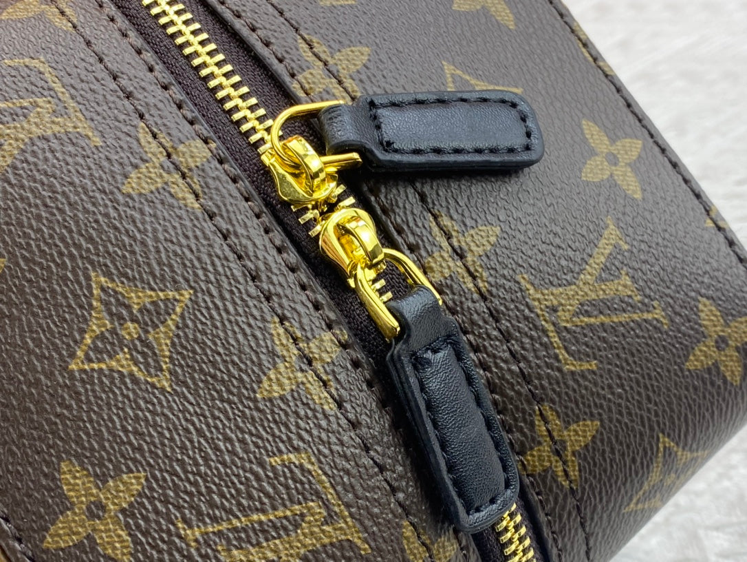 New Arrival Bags Louis Vuitton  678