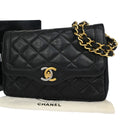 Chanel Diana