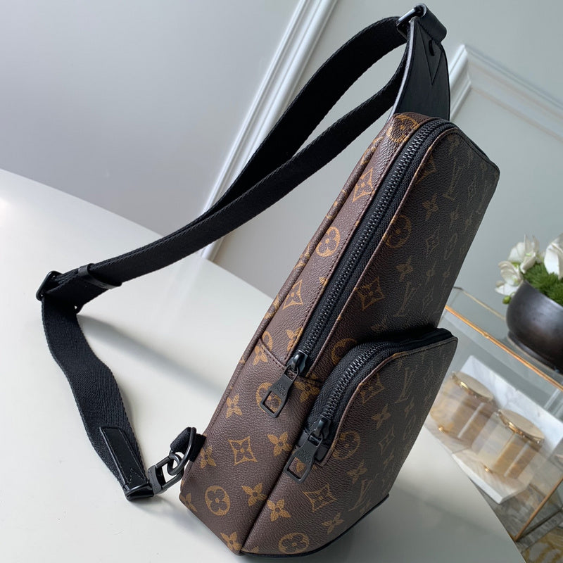 Louis Vuitton Luxury Bags 2716