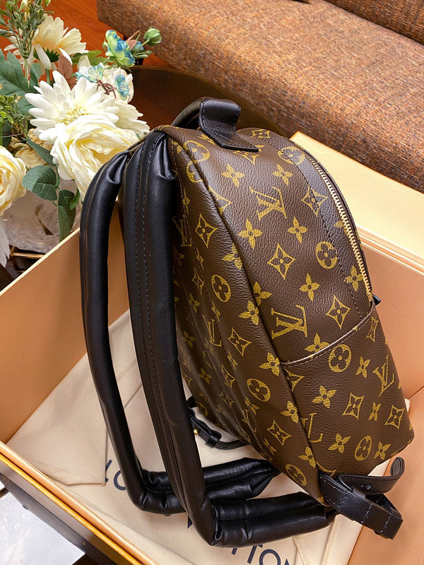 Louis Vuitton Luxury Bags 2827