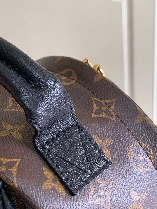 Louis Vuitton Luxury Bags 2824