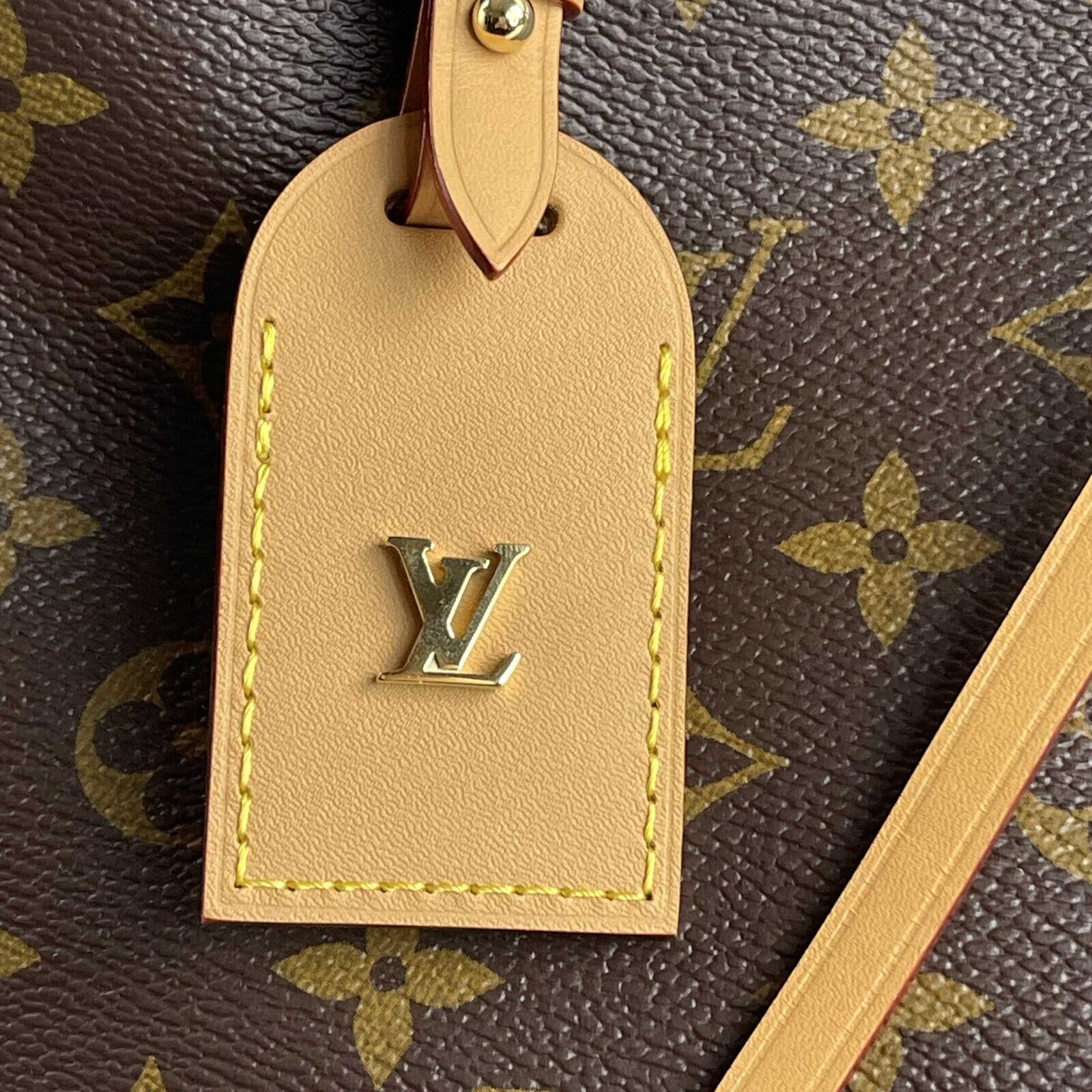 LOUIS VUITTON CarryAll Hobo Monogram Canvas PM Handbag