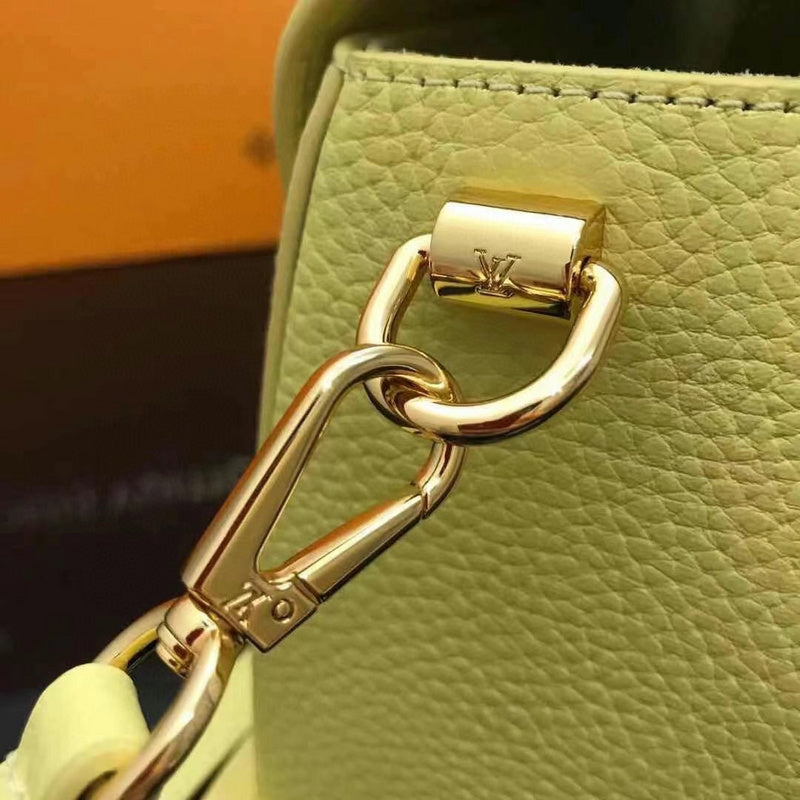 Louis Vuitton Luxury Bags 2481