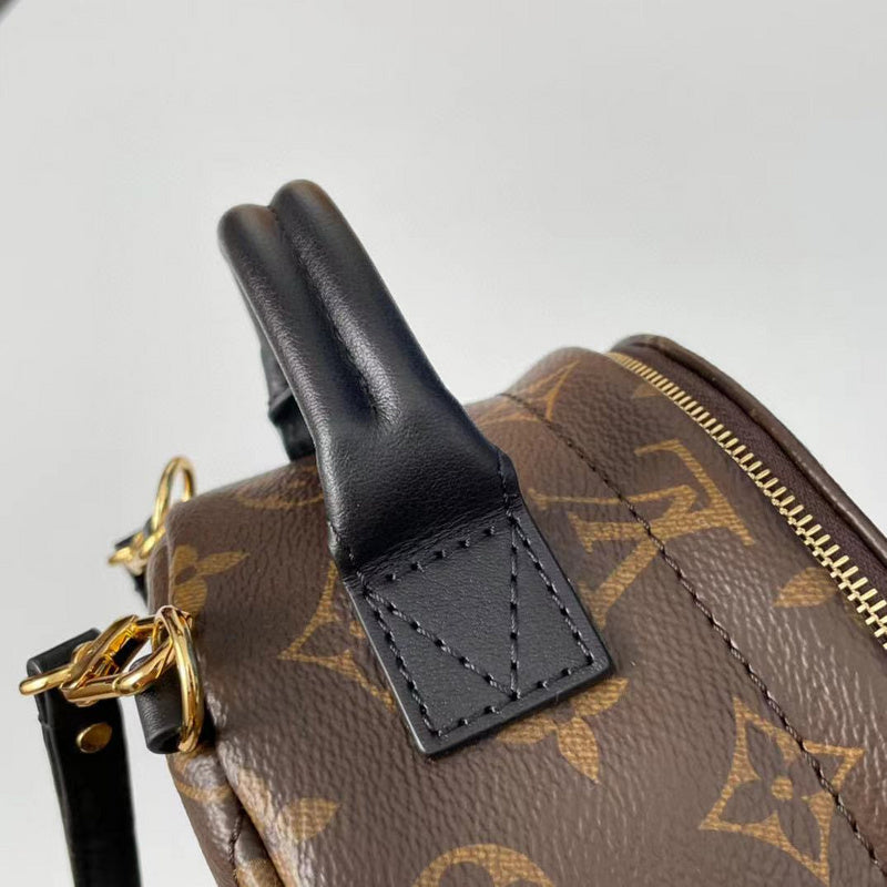 Louis Vuitton Luxury Bags 2075