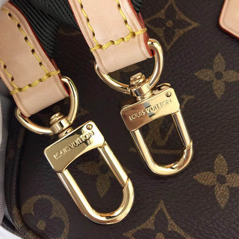 Louis Vuitton Luxury Bags 2622