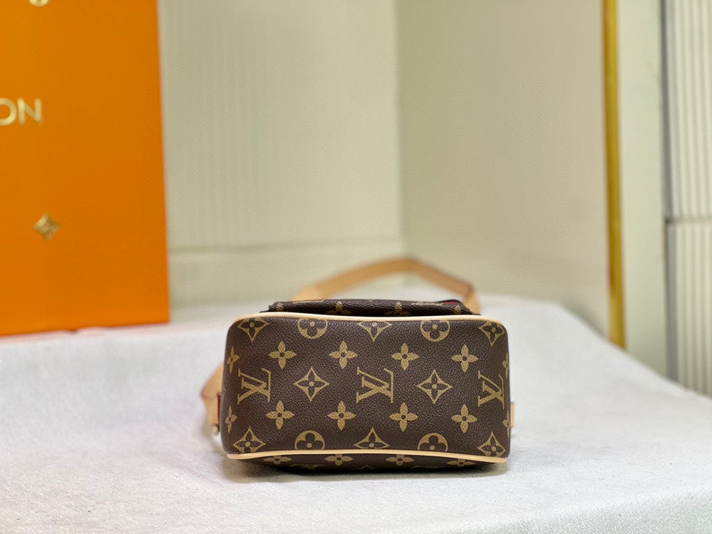 New Lux Bags Louis Vuitton  885