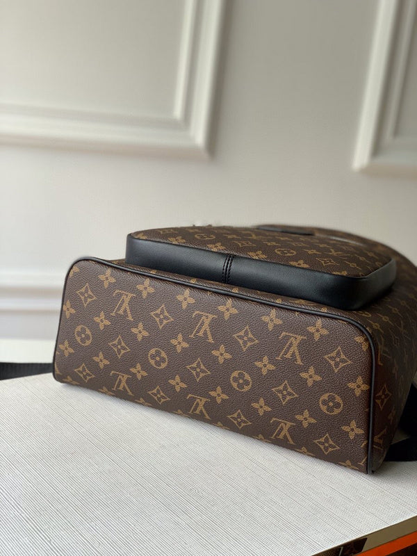 Louis Vuitton Luxury Bags 2815