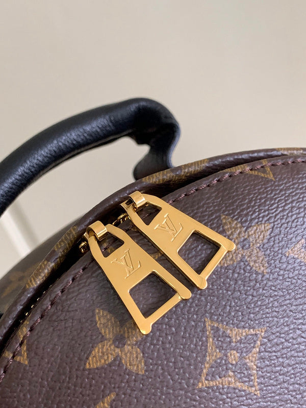 Louis Vuitton Luxury Bags 2824