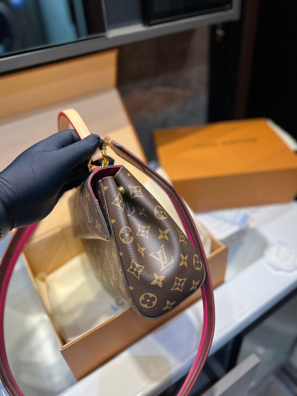 Luxury Bags Louis Vuitton  738