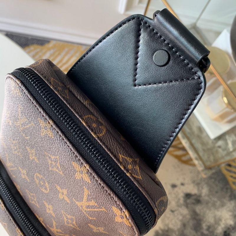 Louis Vuitton Luxury Bags 2716