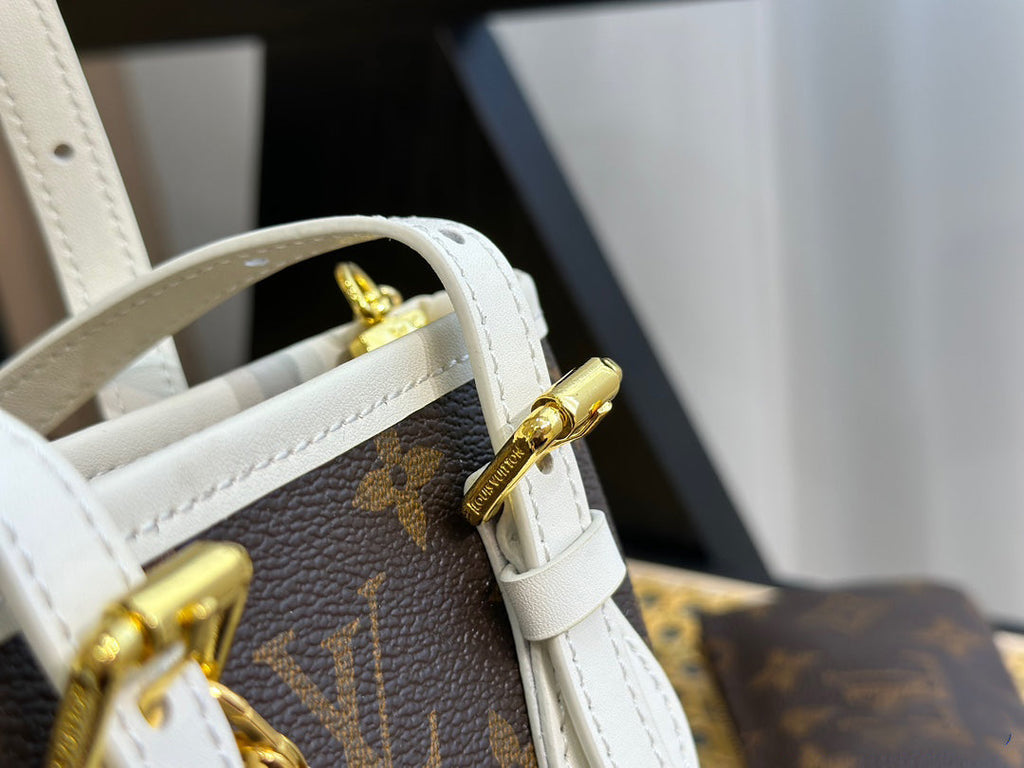 Luxury Bags Louis Vuitton  725