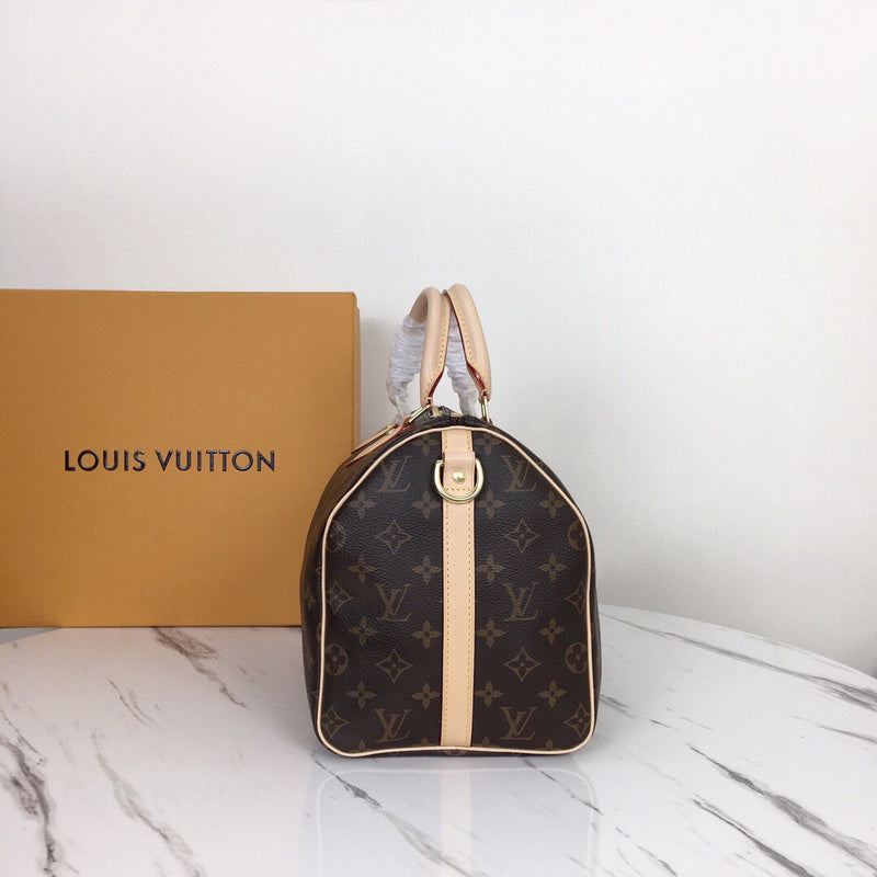 Louis Vuitton Luxury Bags 2657