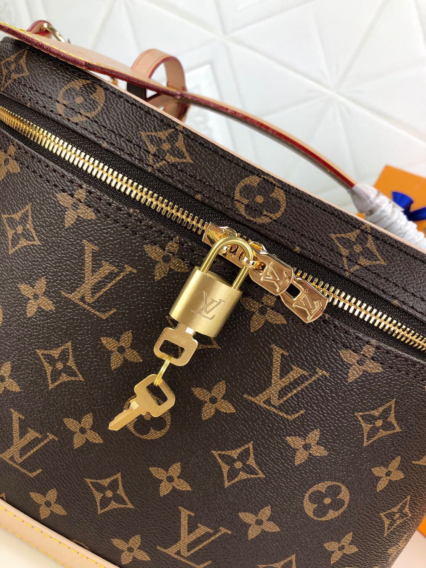 Designer Handbags Louis Vuitton 024