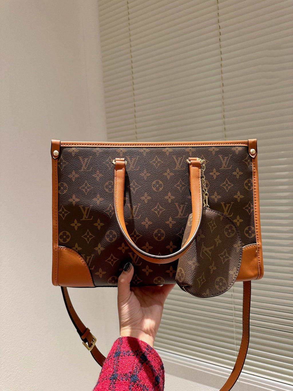 Luxury Bags Louis Vuitton  736