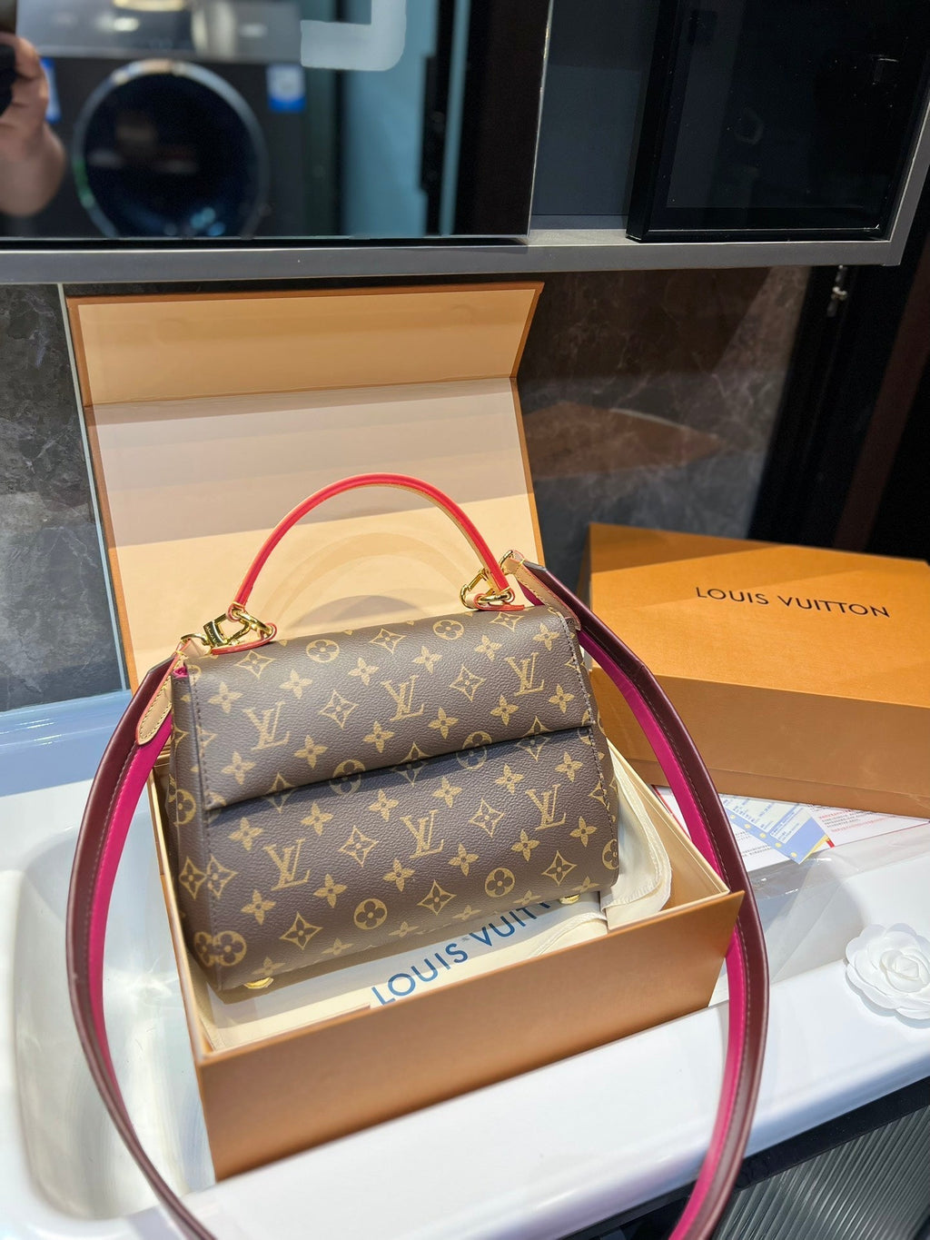 Luxury Bags Louis Vuitton  738