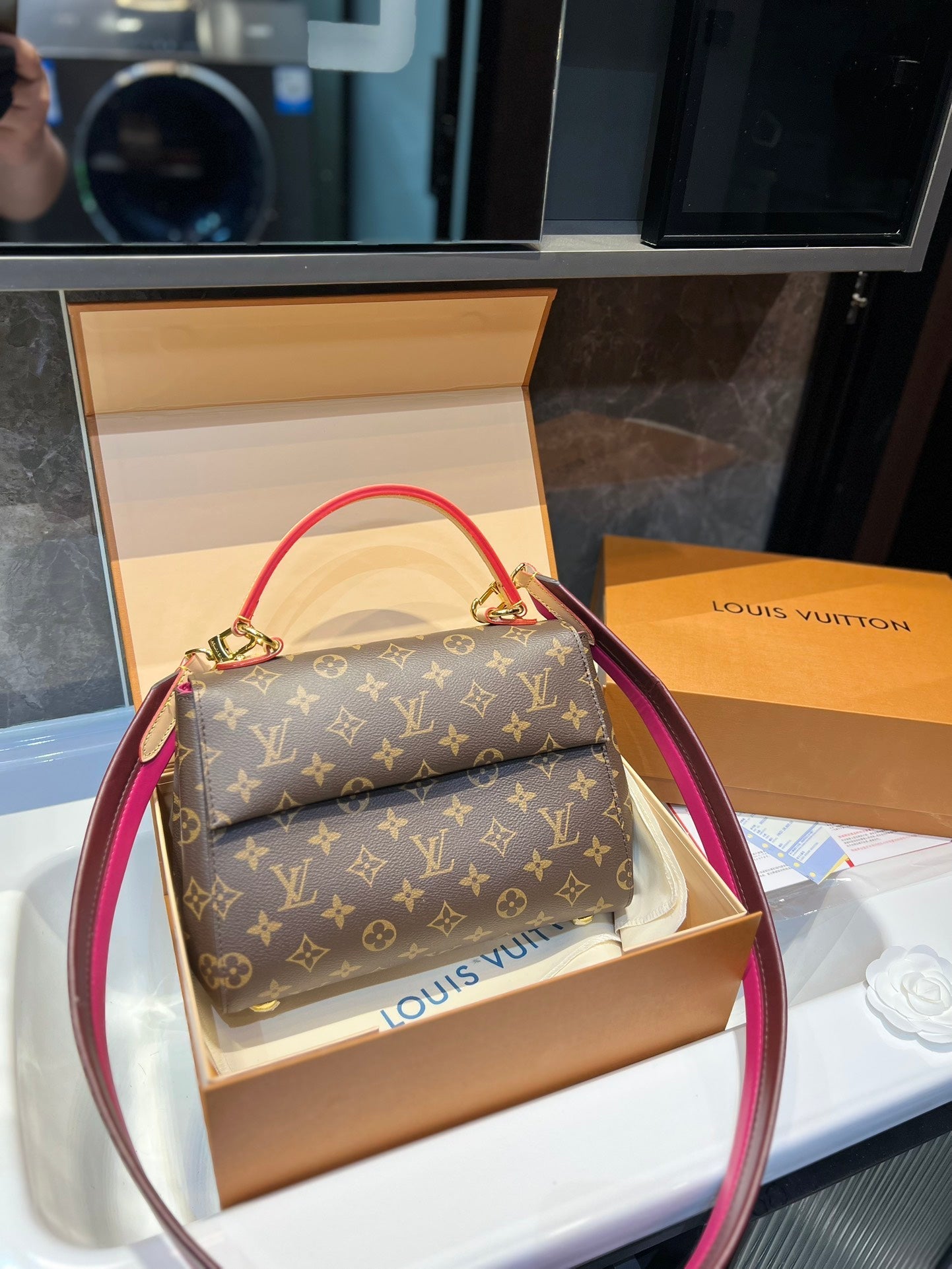 Luxury Bags Louis Vuitton  738