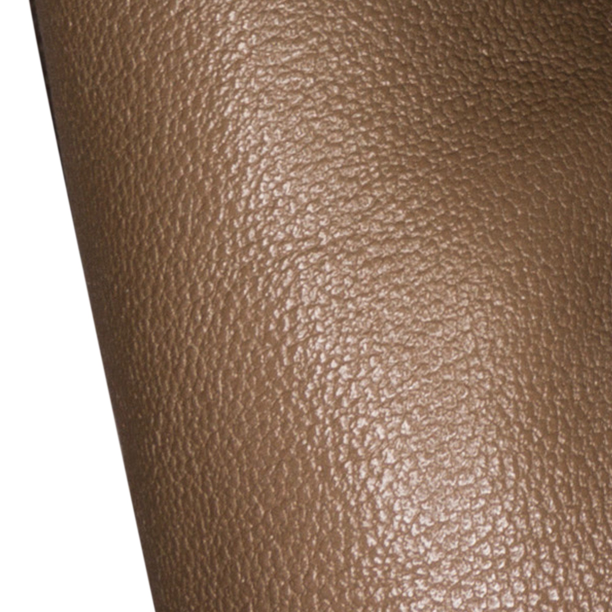 Gucci Blondie Brown Leather