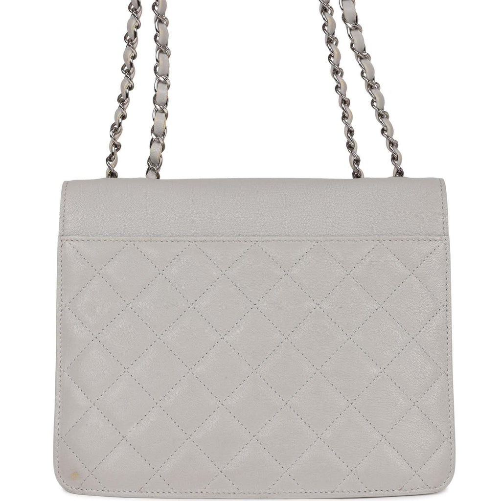 Pre-owned Chanel Companion Flap Bag Grey Goatskin Silver Hardware