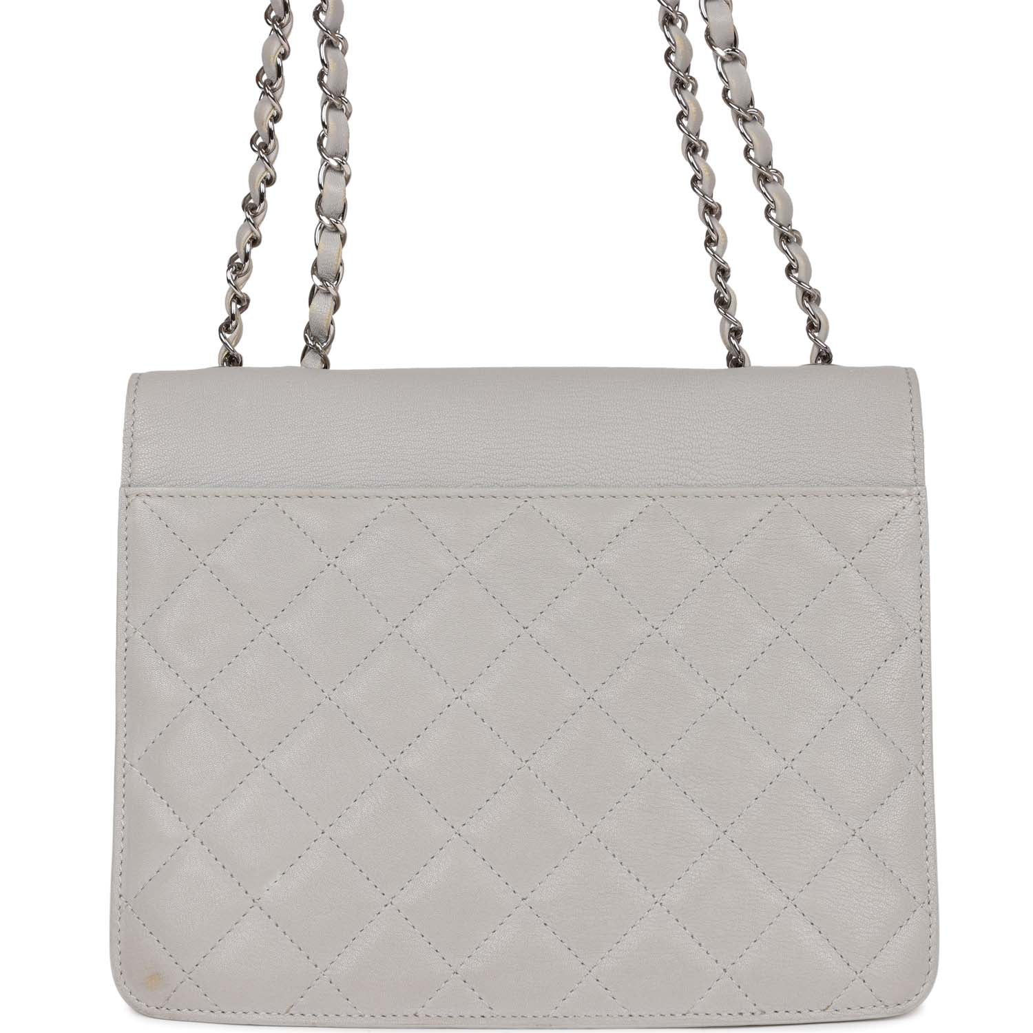 Pre-owned Chanel Companion Flap Bag Grey Goatskin Silver Hardware