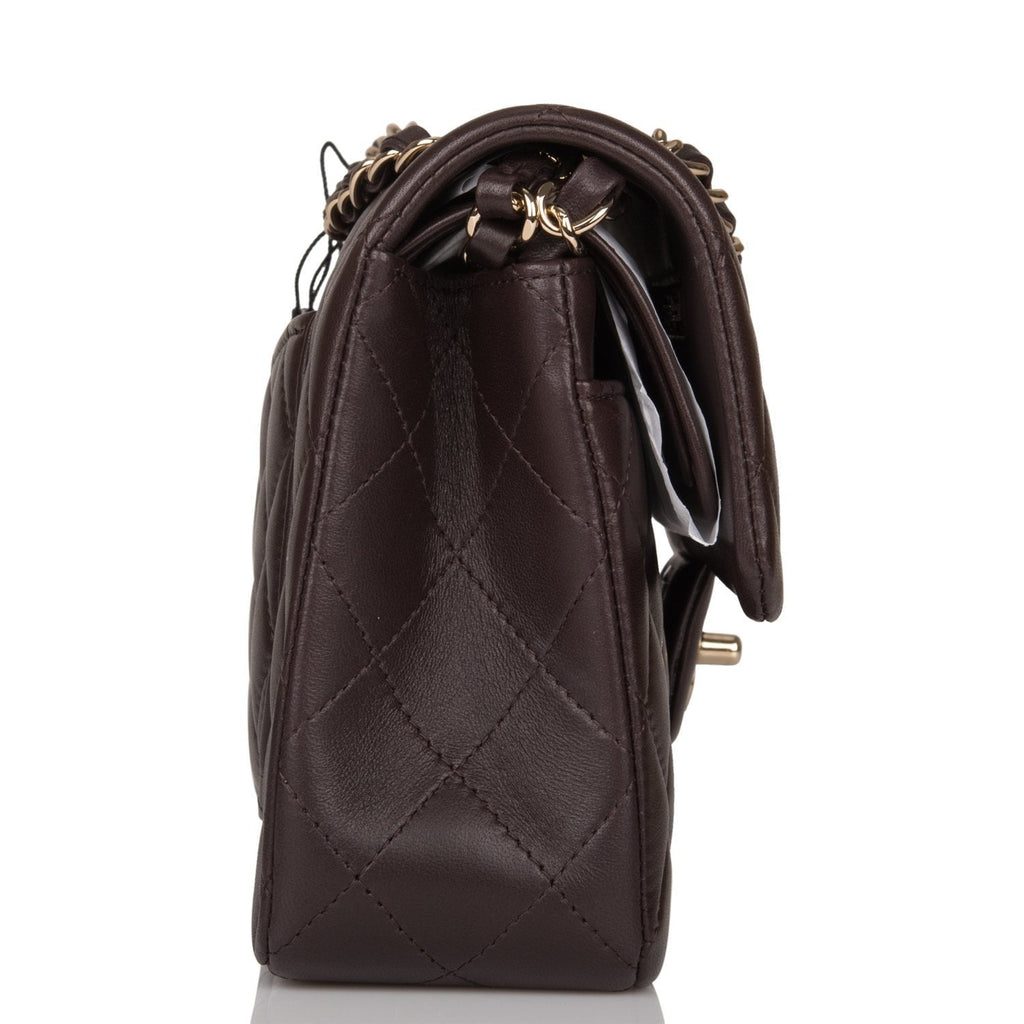 Chanel Small Classic Double Flap Bag Dark Brown Lambskin Light Gold Hardware