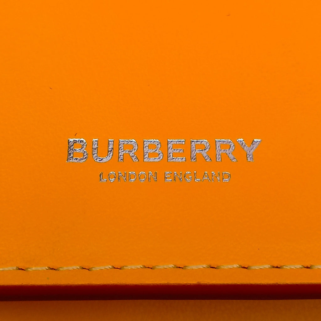 Burberry Handbag Orange