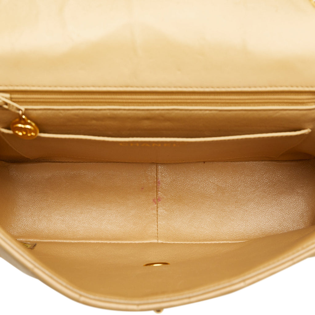 CHANEL Lambskin Vertical Border Flap Crossbody Bag