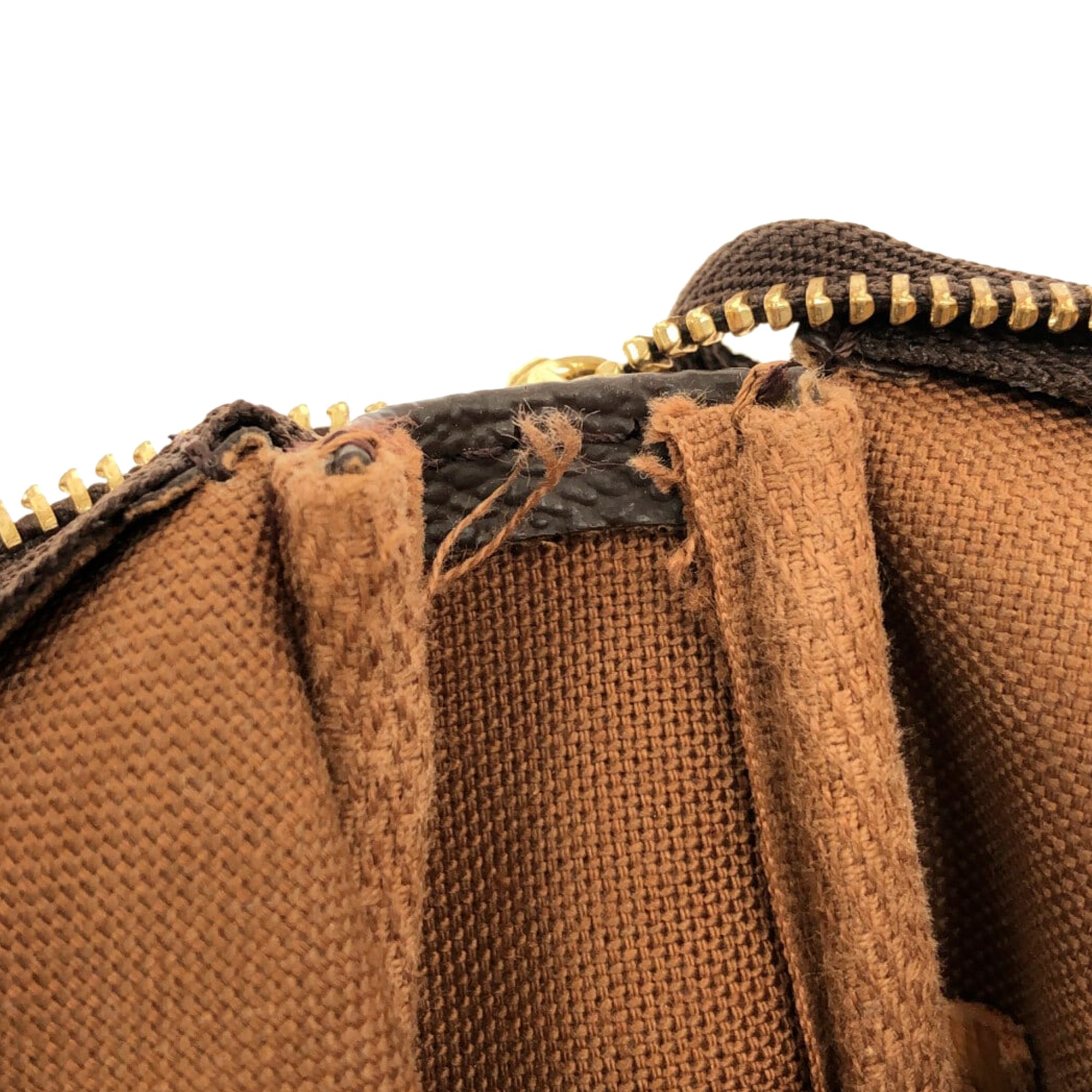 LOUIS VUITTON Monogram Pochette Accessoires Baguette