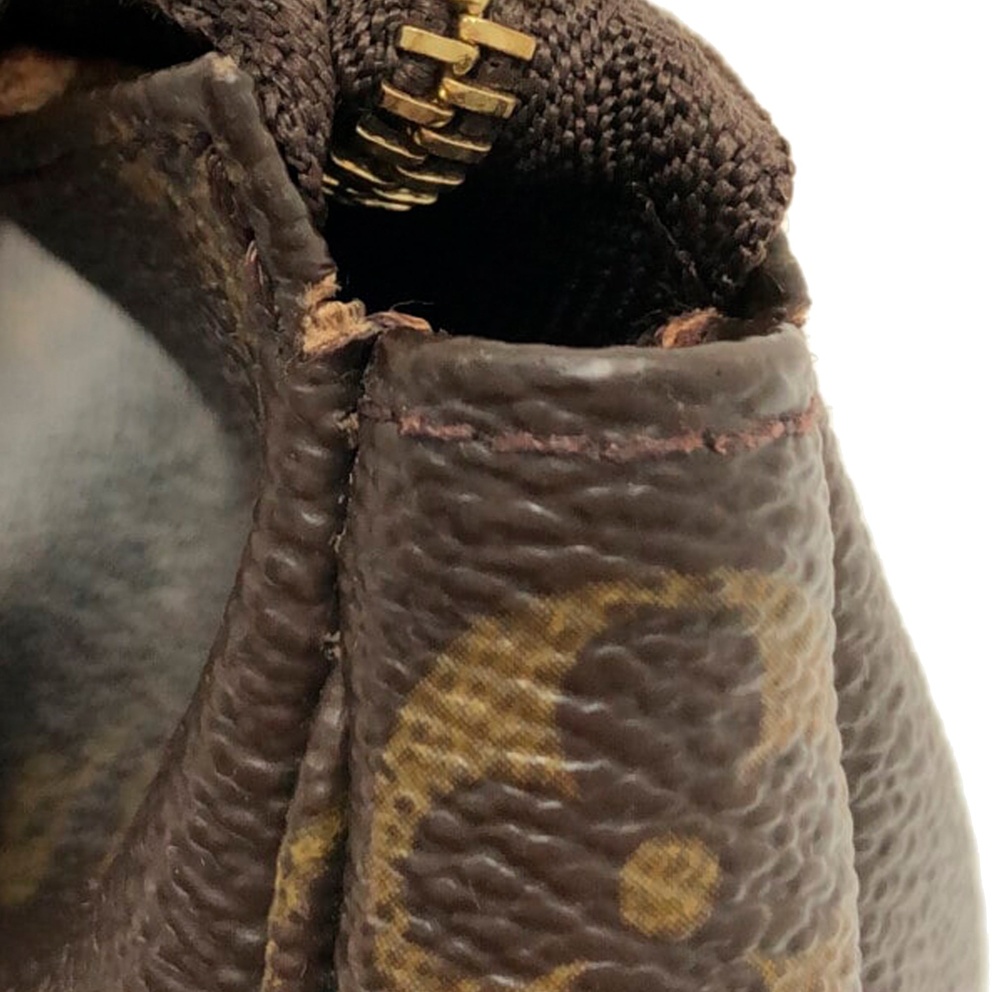 LOUIS VUITTON Monogram Pochette Accessoires Baguette