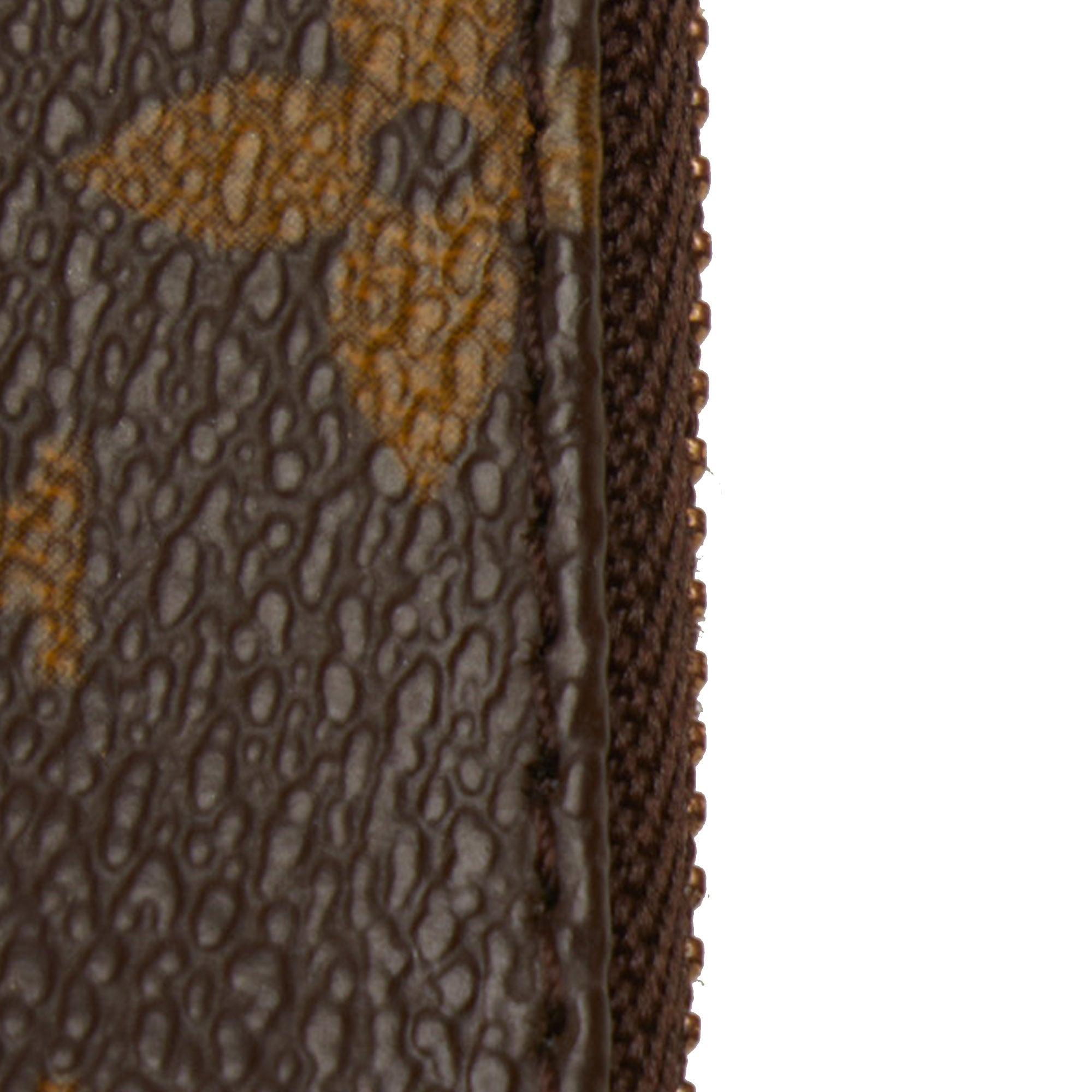 LOUIS VUITTON Monogram Pochette Accessoires Baguette