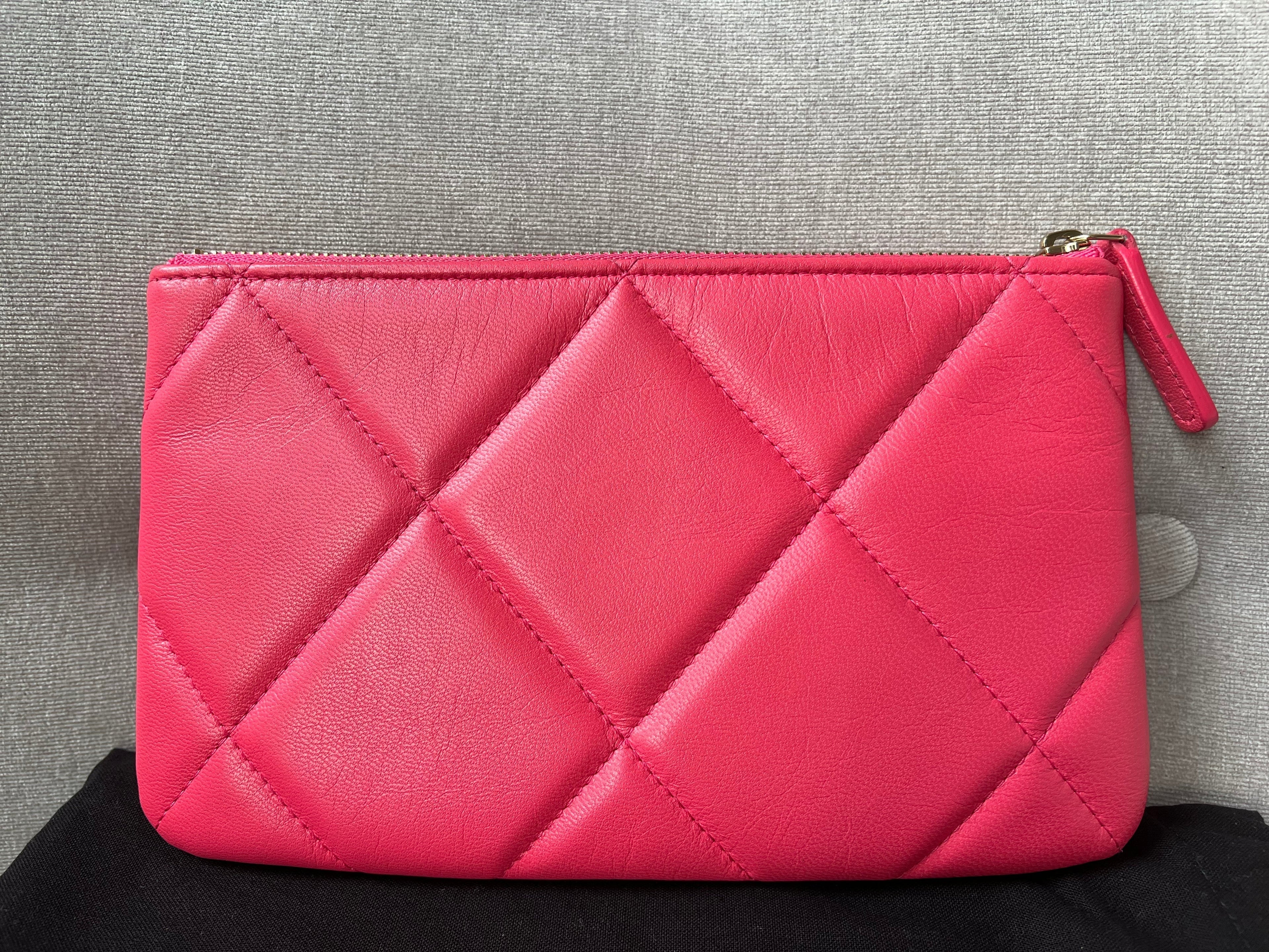 Chanel 19 Pink Small Ocase
