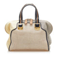 Fendi Colorblock Canvas Chameleon