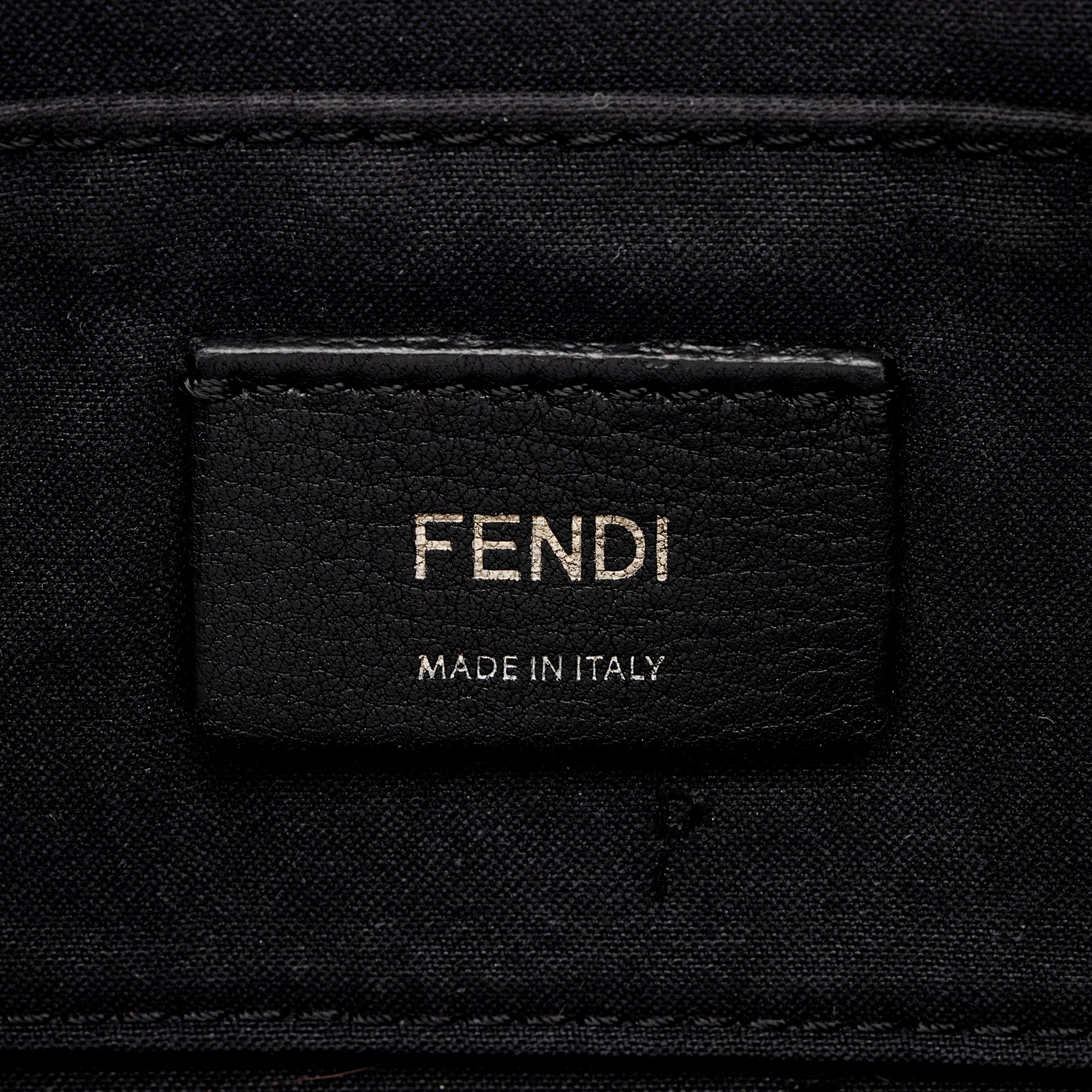 Fendi FF Spalmati Camera Case