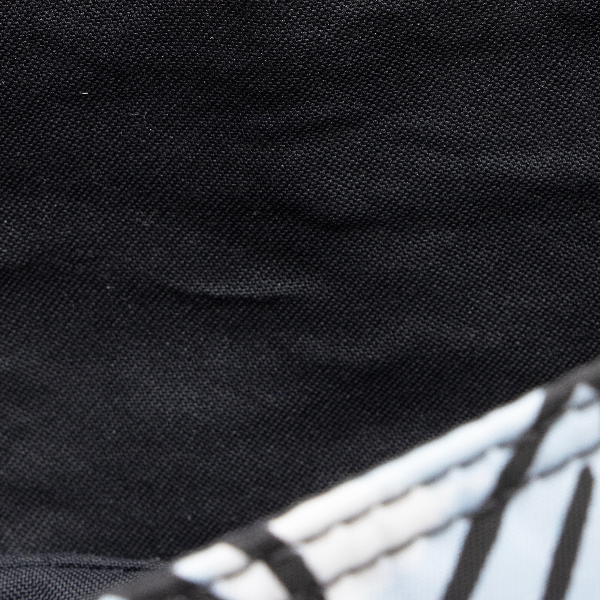 Fendi Nylon Floral Cloudy Porter Baguette Mini Phone Pouch