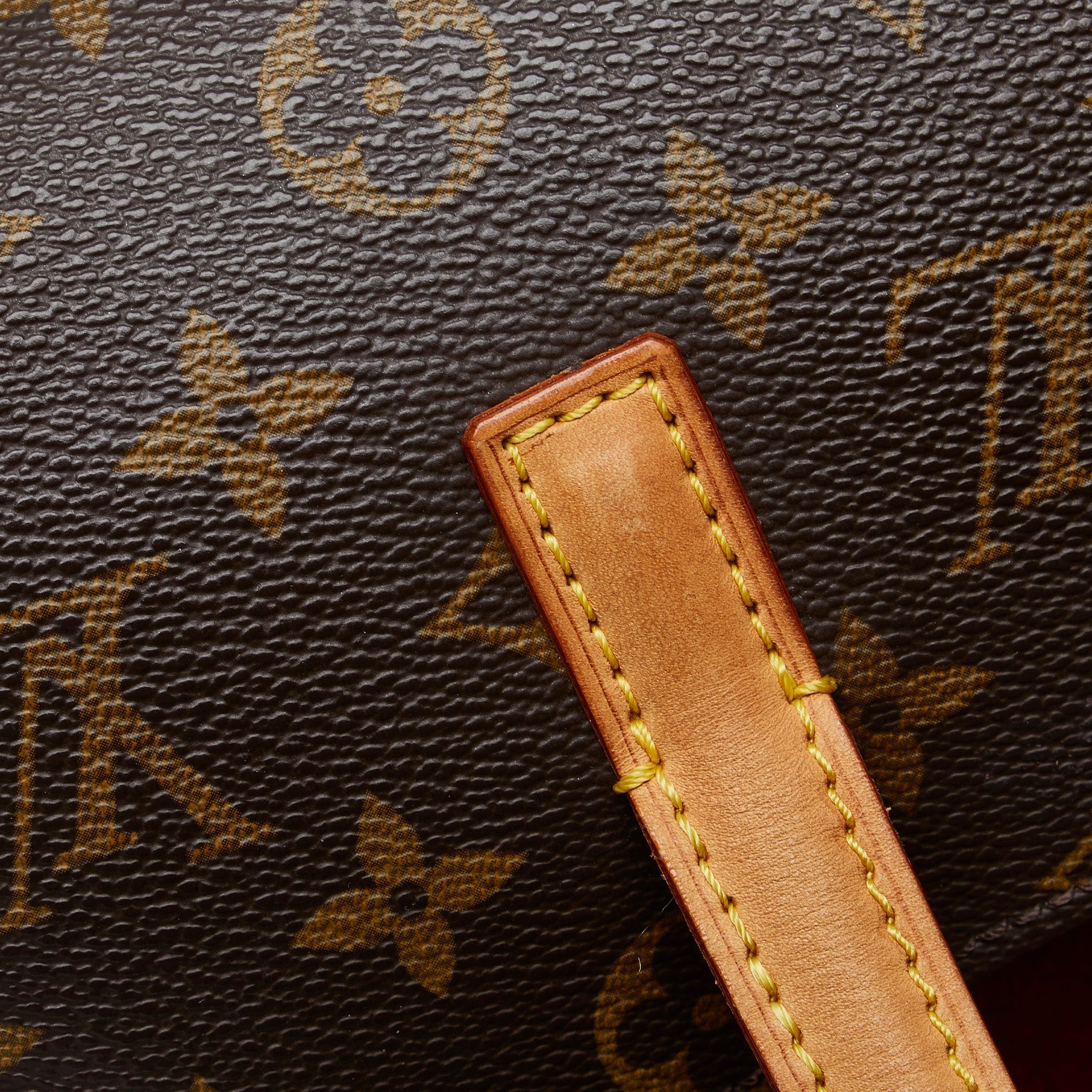 LOUIS VUITTON Monogram Sonatine Handbag