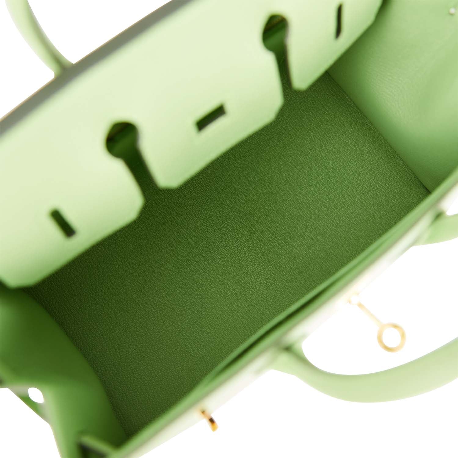 Hermes Birkin Sellier 25 Vert Criquet Epsom Gold Hardware