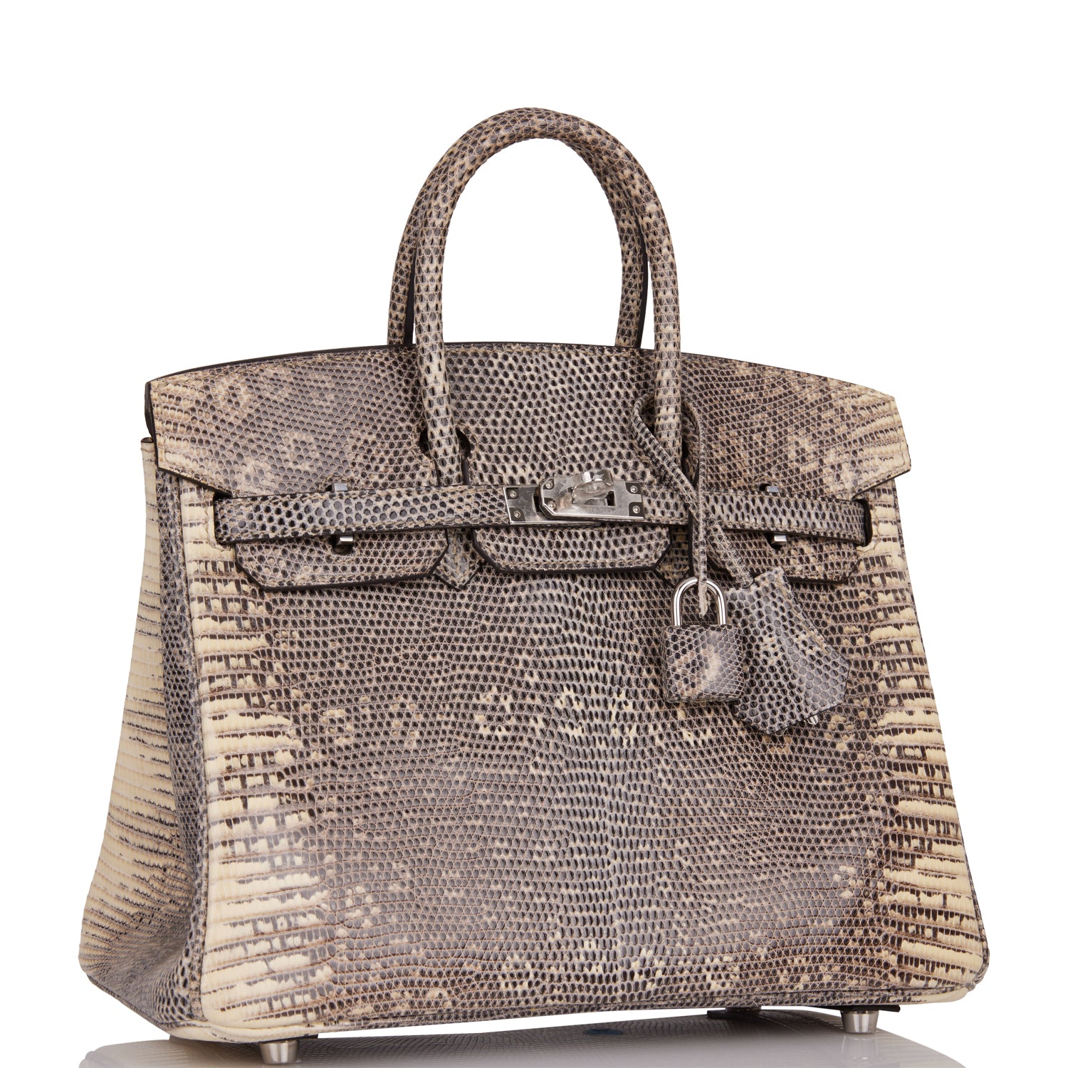 Hermes Birkin 25 Ombre Shiny Salvator Lizard Palladium Hardware