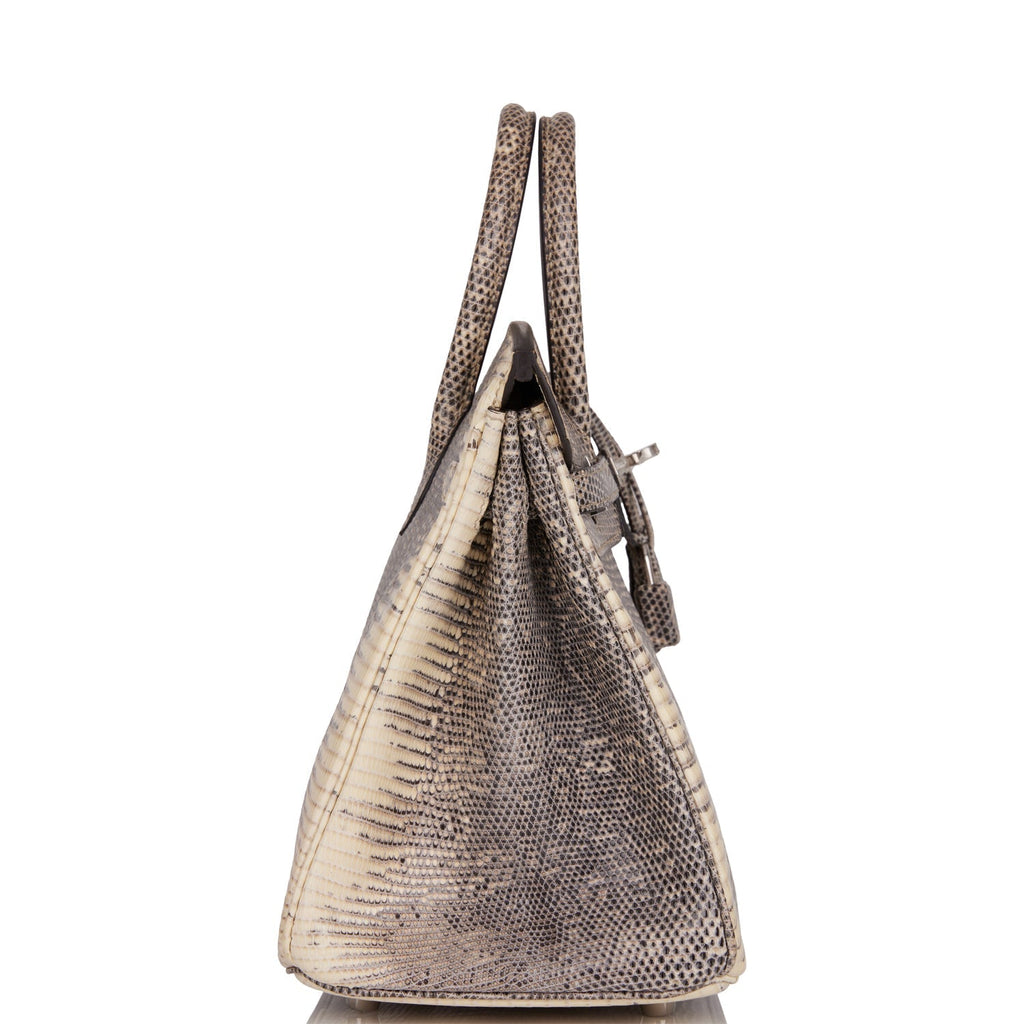 Hermes Birkin 25 Ombre Shiny Salvator Lizard Palladium Hardware