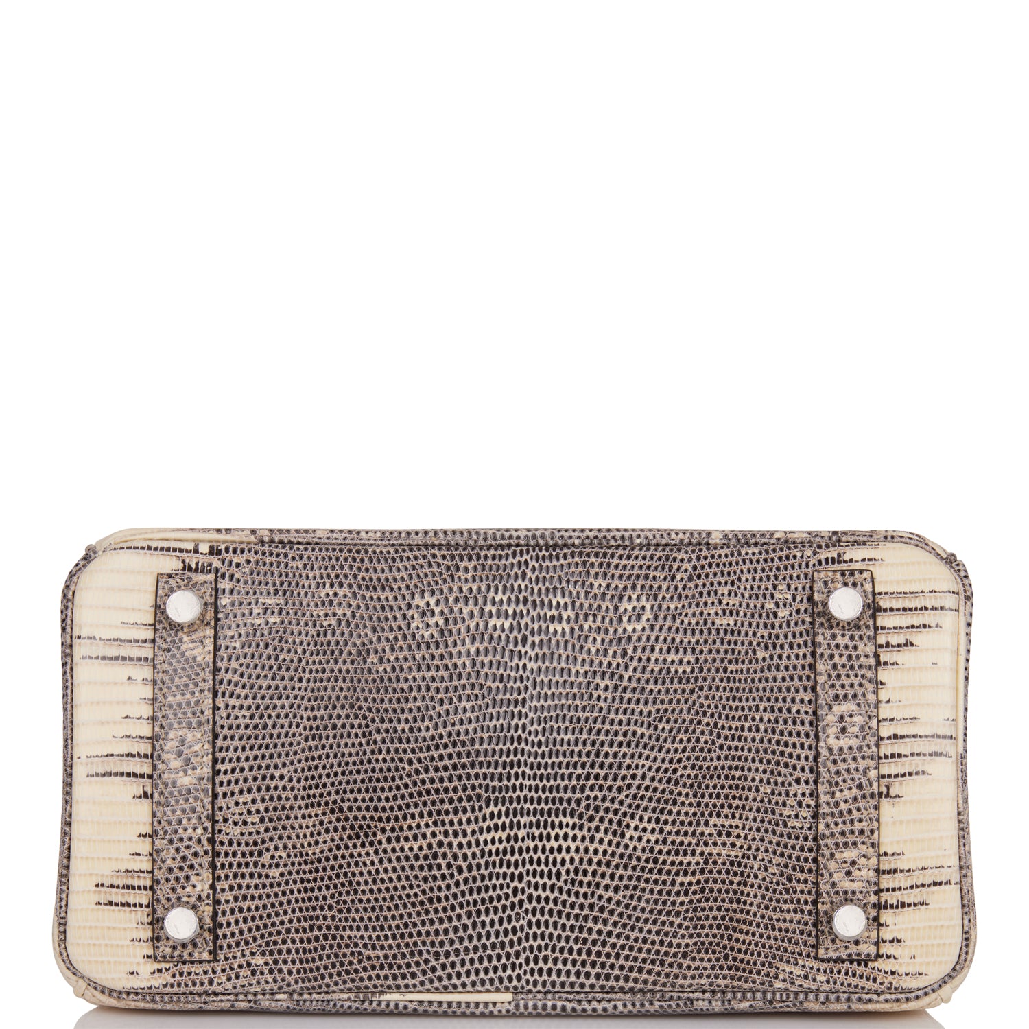 Hermes Birkin 25 Ombre Shiny Salvator Lizard Palladium Hardware