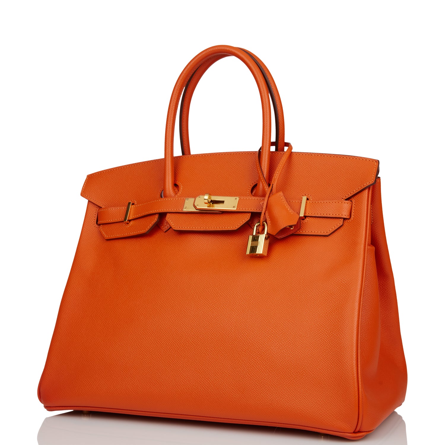 Pre-owned Hermes Birkin 35 Mangue Epsom Gold Hardware