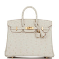 Hermes Birkin 25 Beton Ostrich Gold Hardware