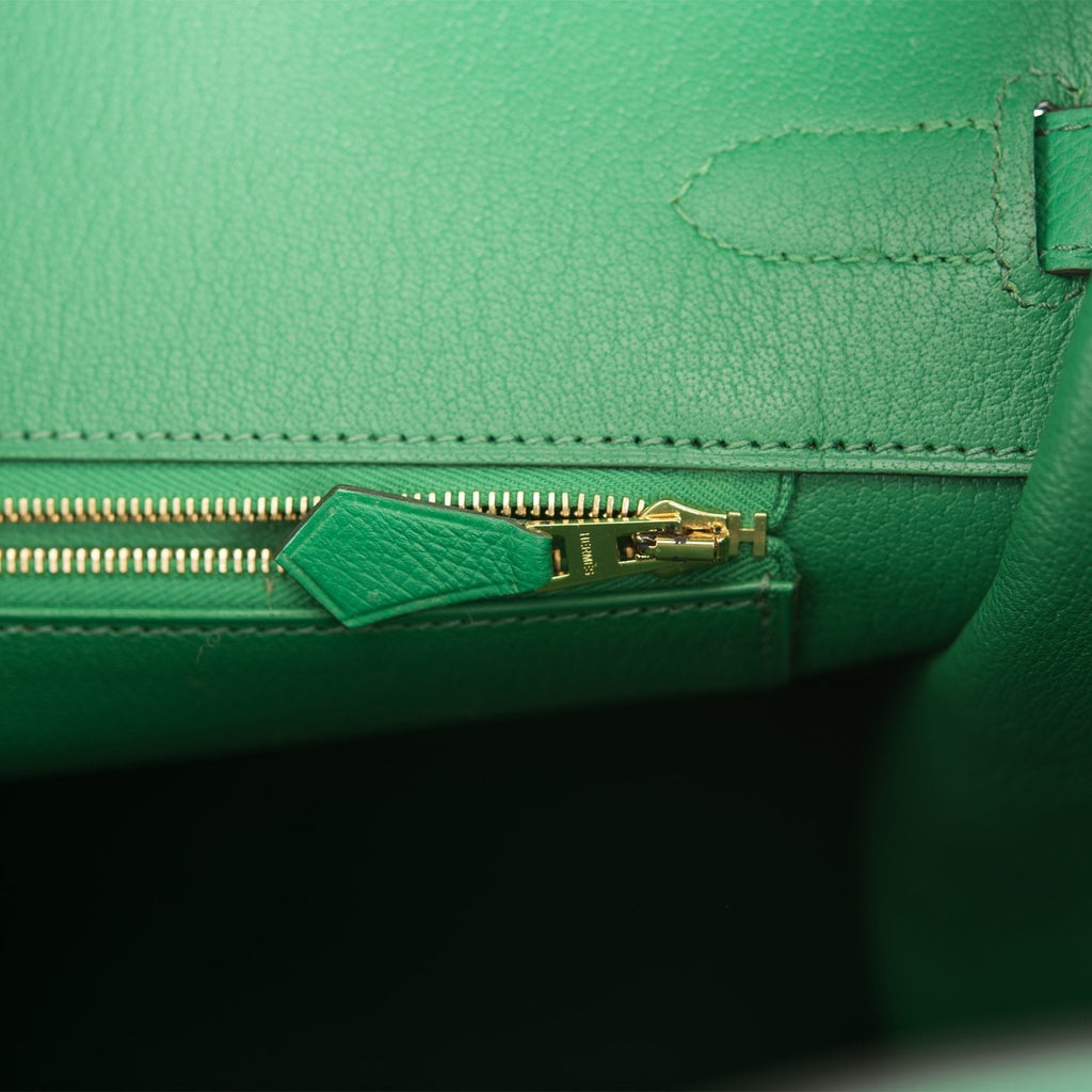Hermes Cactus Epsom Birkin 35cm Gold Hardware