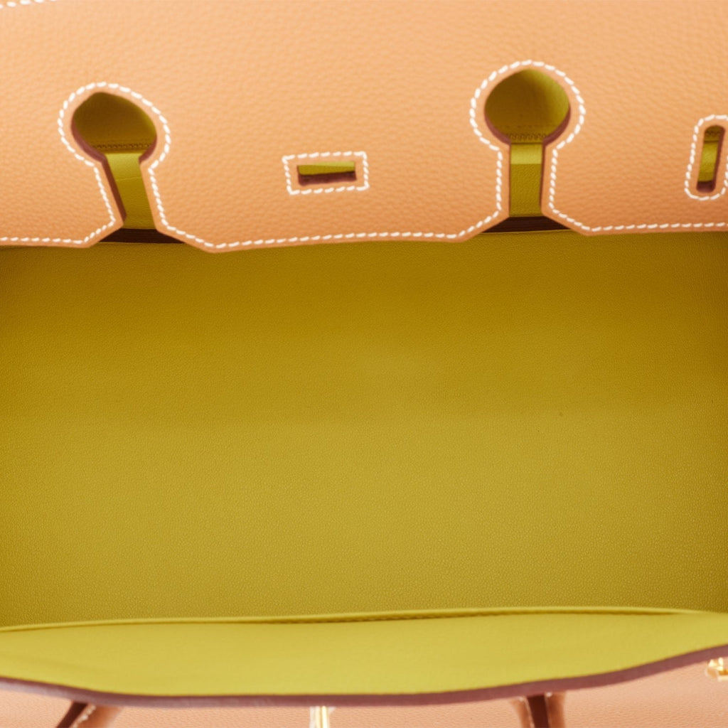 Hermes Special Order (HSS) Birkin 35 Gold Verso Togo Gold Hardware