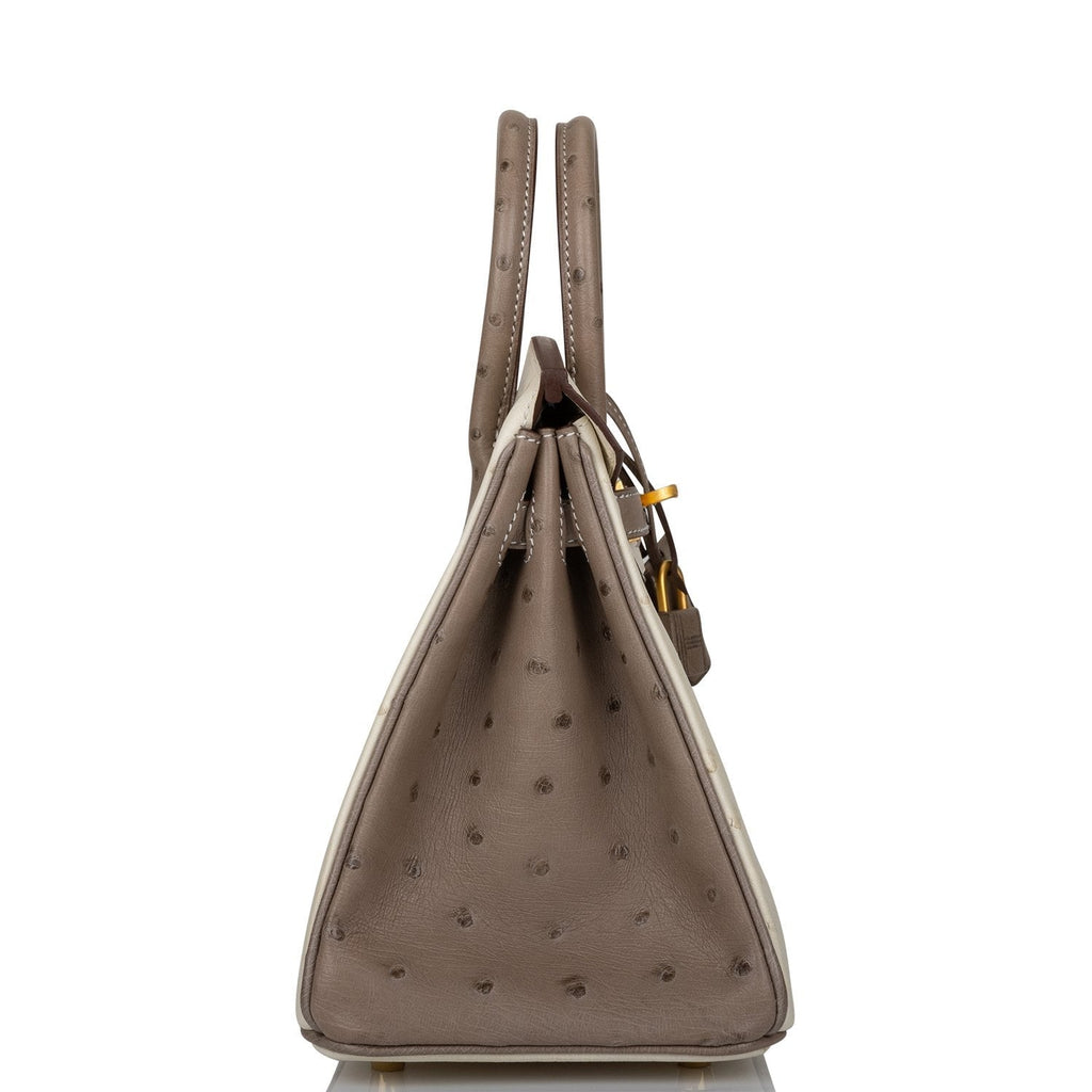 Deposit for Hermes Special Order (HSS) Birkin 25 Beton and Gris Asphalte Ostrich Brushed Gold Hardware