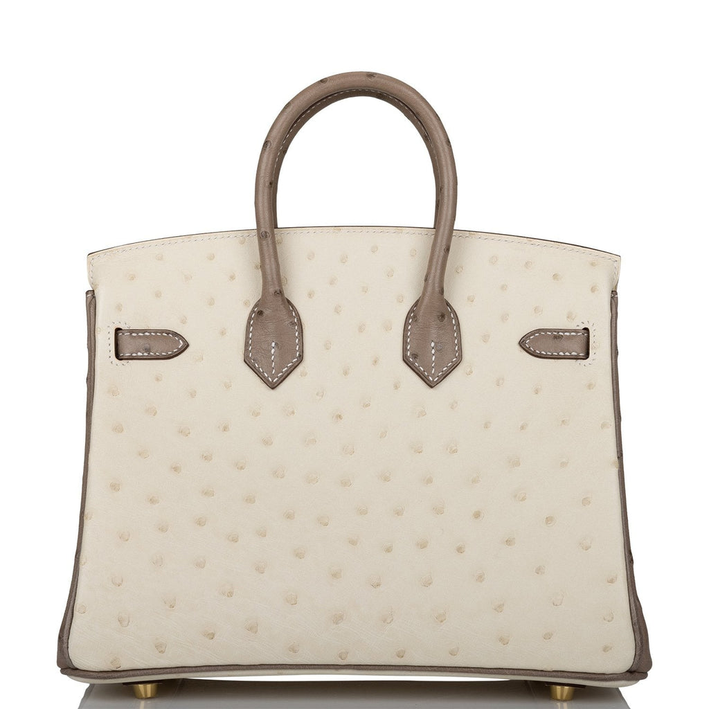 Hermes Special Order (HSS) Birkin 25 Beton and Gris Asphalte Ostrich Brushed Gold Hardware