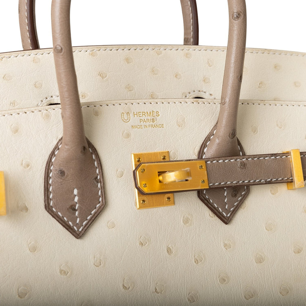 Hermes Special Order (HSS) Birkin 25 Beton and Gris Asphalte Ostrich Brushed Gold Hardware