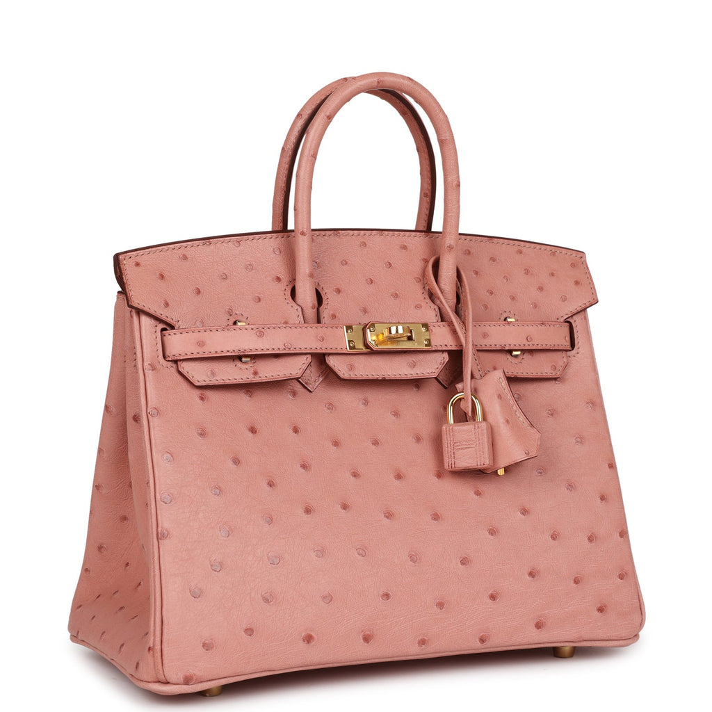 Hermes Birkin 25 Terre Cuite Ostrich Gold Hardware
