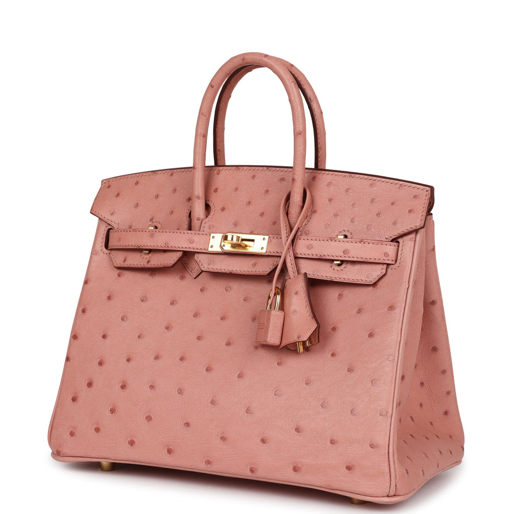 Hermes Birkin 25 Terre Cuite Ostrich Gold Hardware