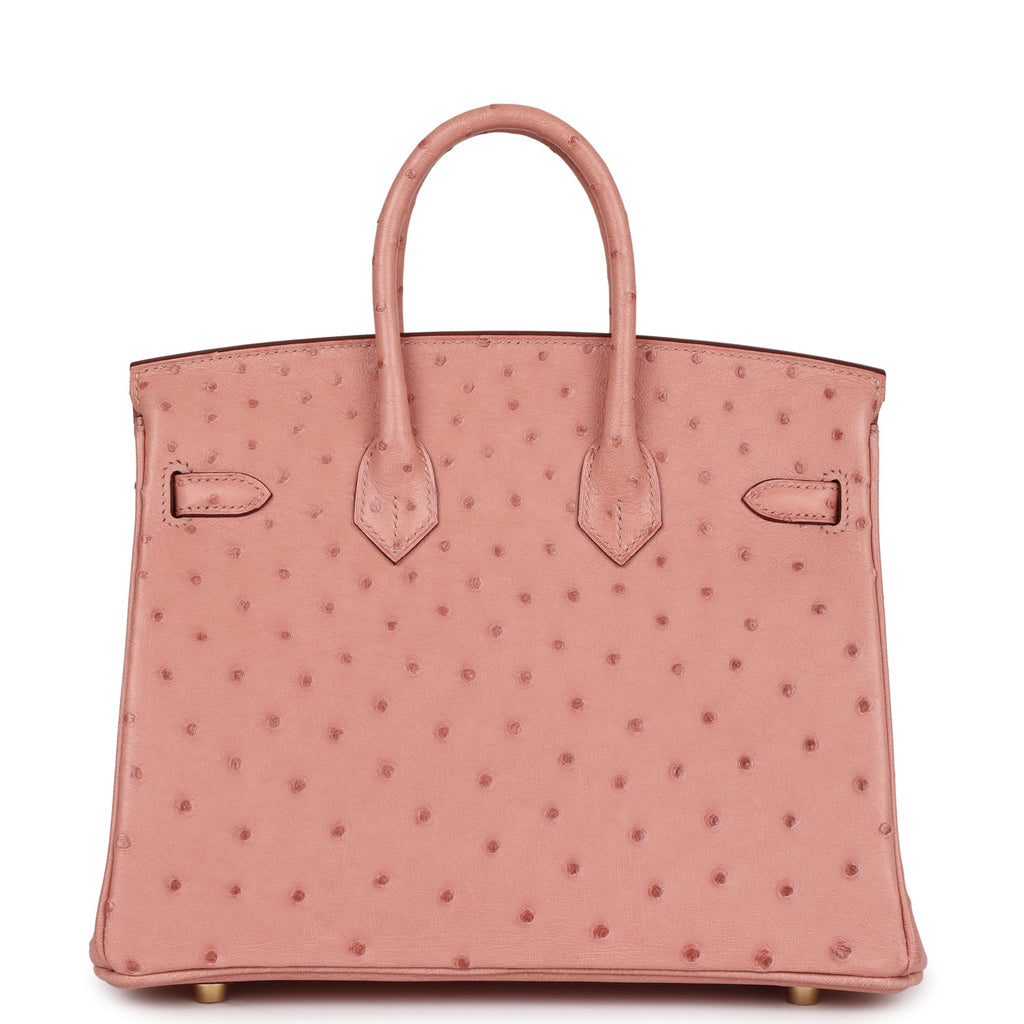 Hermes Birkin 25 Terre Cuite Ostrich Gold Hardware