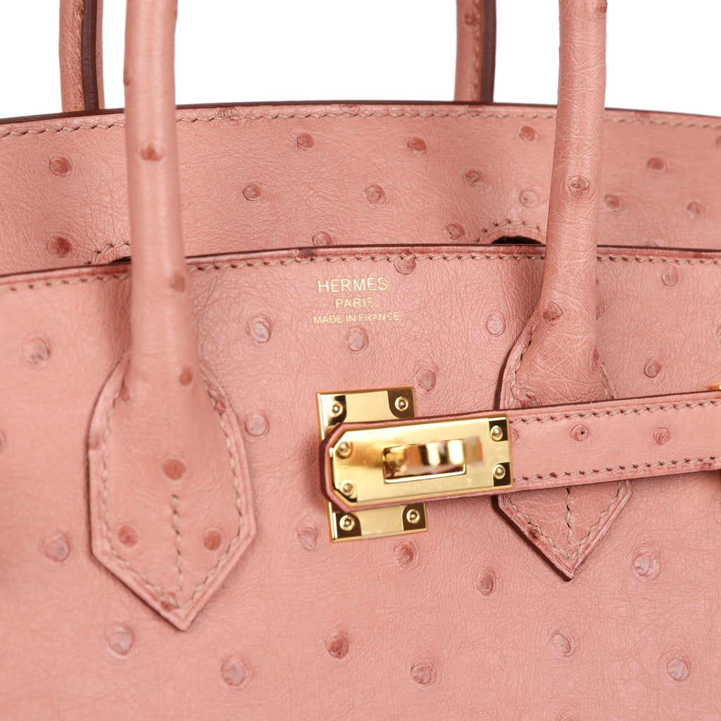 Hermes Birkin 25 Terre Cuite Ostrich Gold Hardware