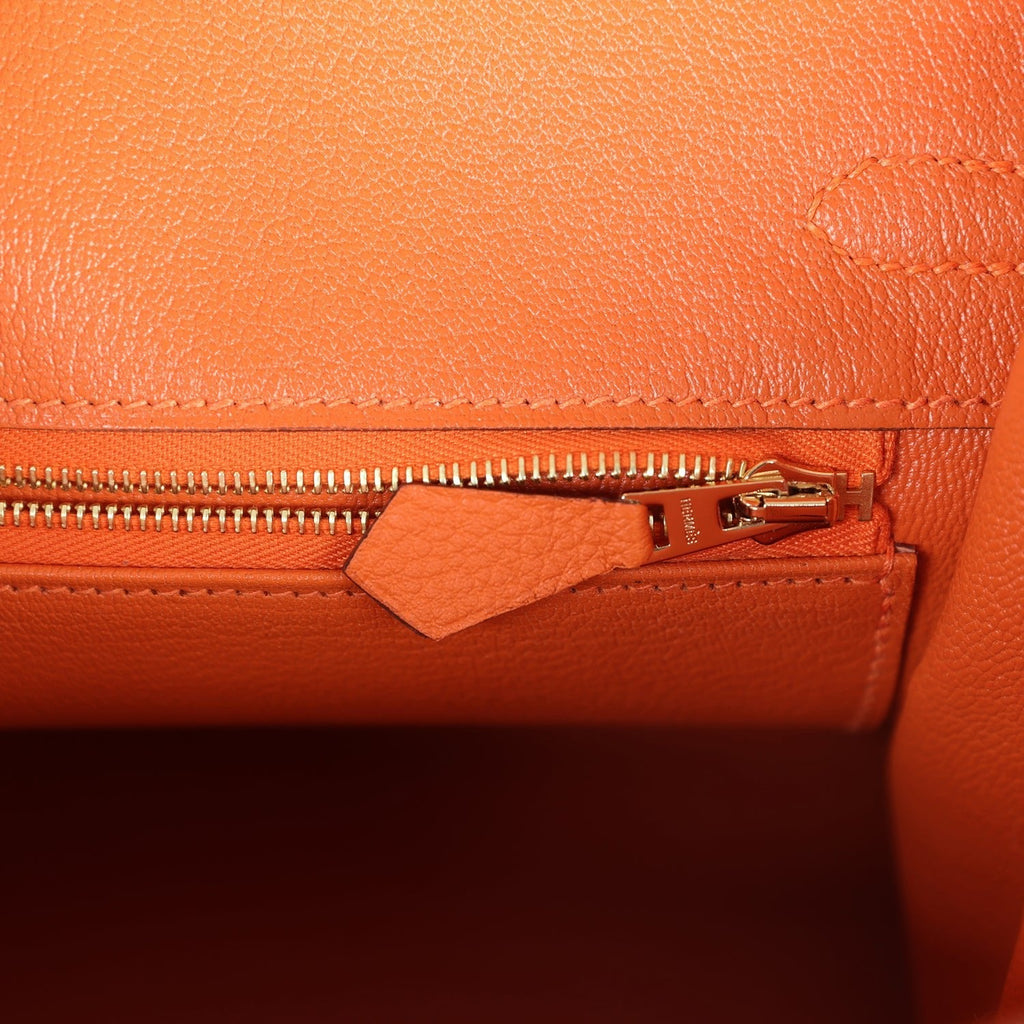 Hermes Birkin 25 Orange Togo Gold Hardware